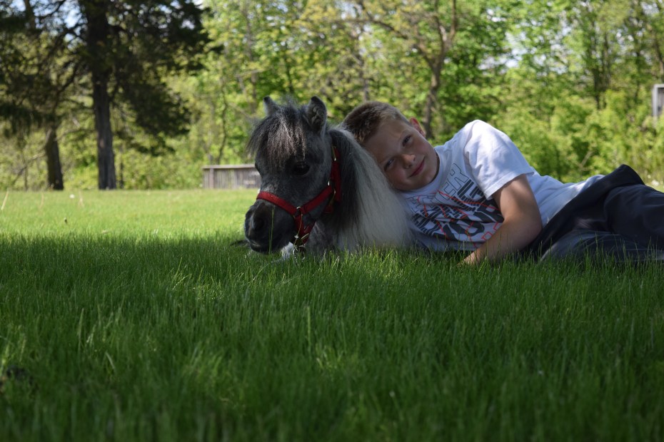 A smiling boy rests his head on a miniature horse's neck as they lay in the grass.